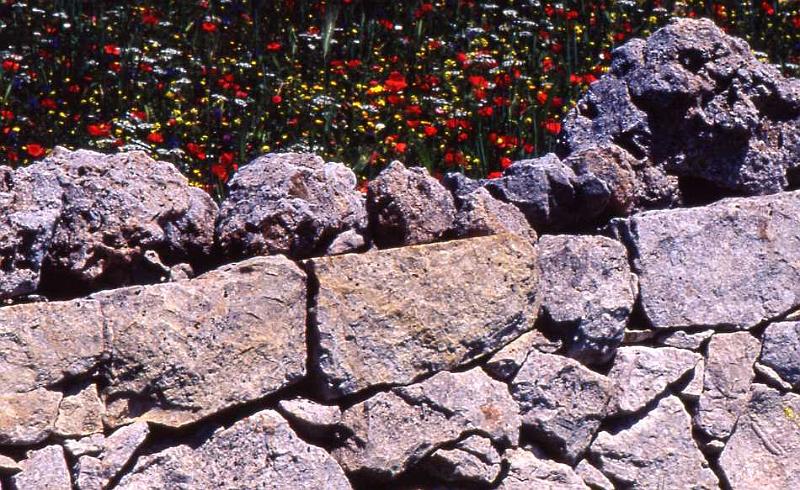104-Per Pantalica,23 aprile 2000.jpg